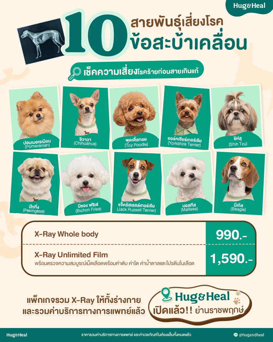 X-ray กระดูกและข้อ สำหรับประเมินข้อสะบ้าเคลื่อน ราคา 990 บาท