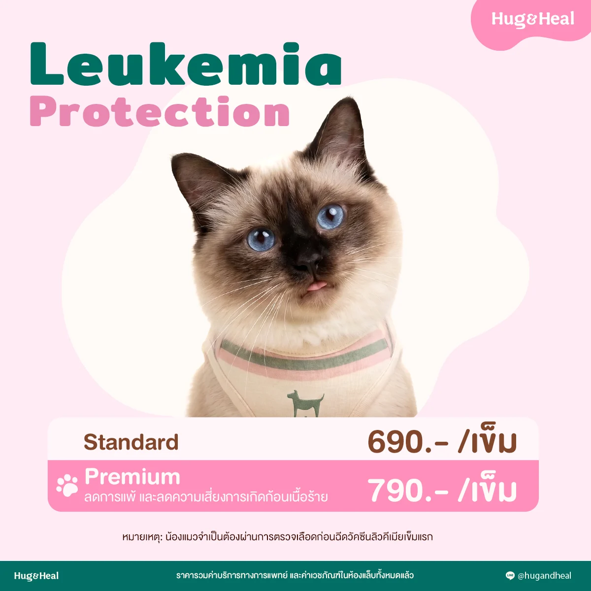 ตารางราคาวัคซีนลิวคีเมียแมว แบบ Standard 690 บาทต่อเข็ม และ Premium 790 บาทต่อเข็ม