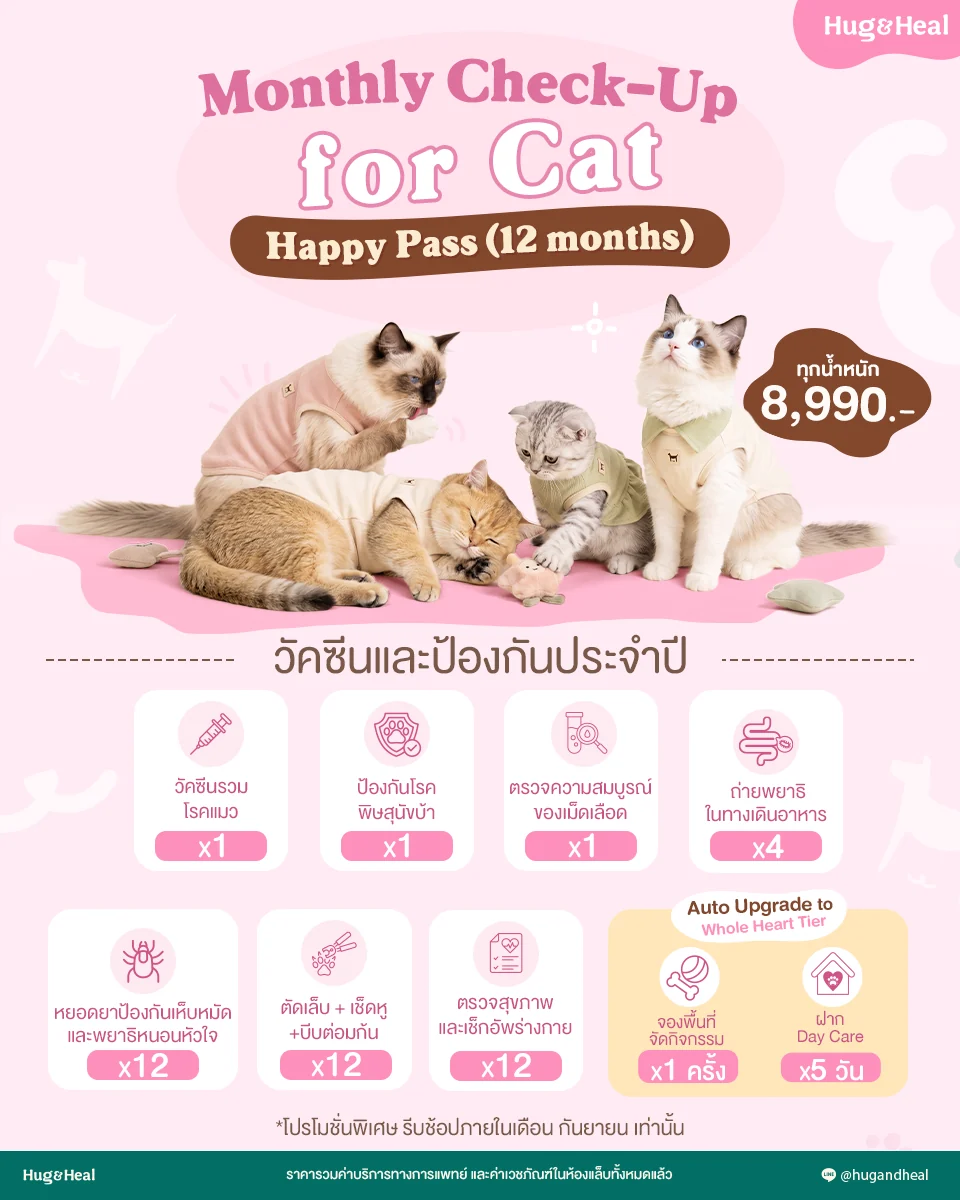 Happy Pass 12 เดือน สำหรับน้องแมว ราคา 8,990 บาท