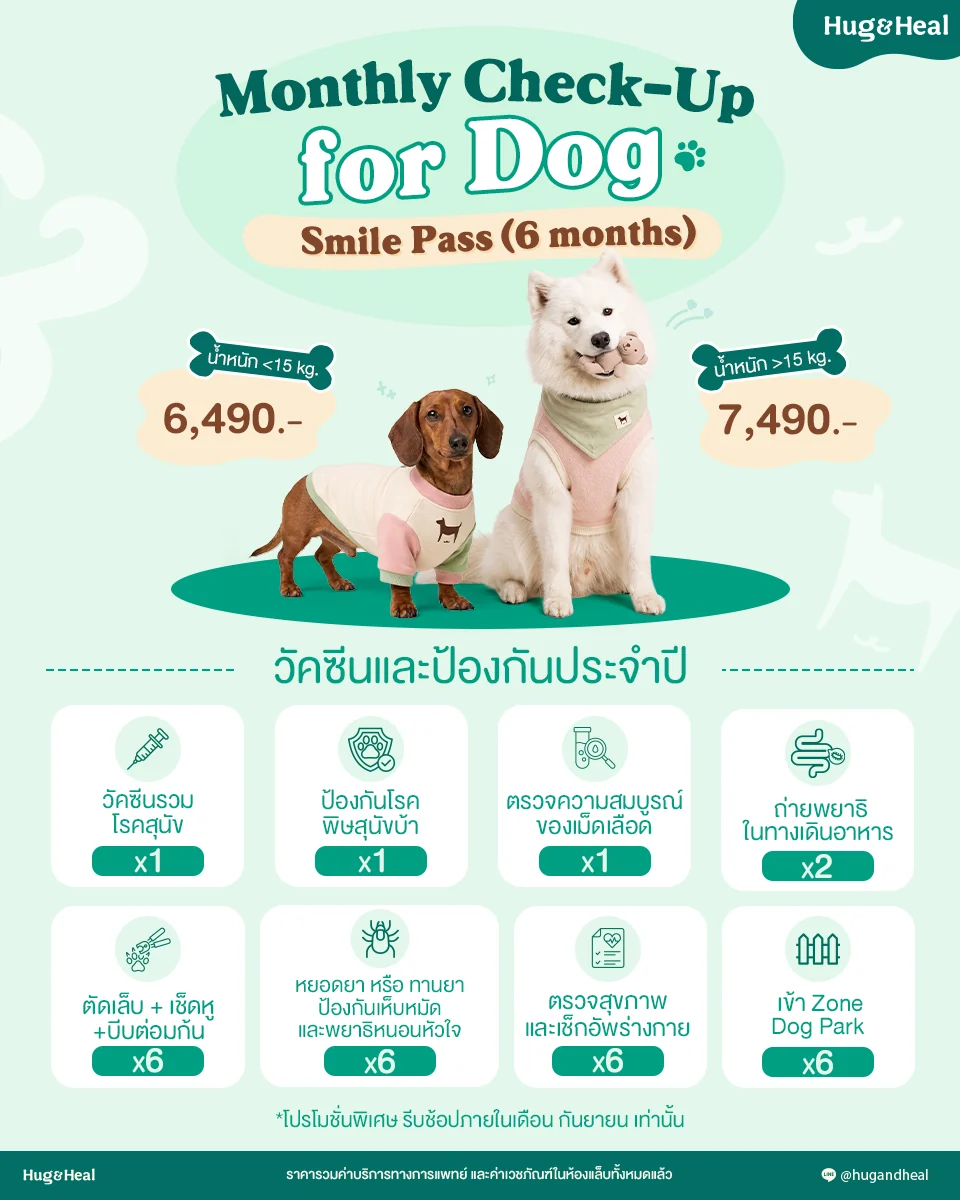 Smile Pass 6 เดือน สำหรับน้องหมา ราคา 6,490 บาท และ 7,490 บาทตามน้ำหนัก