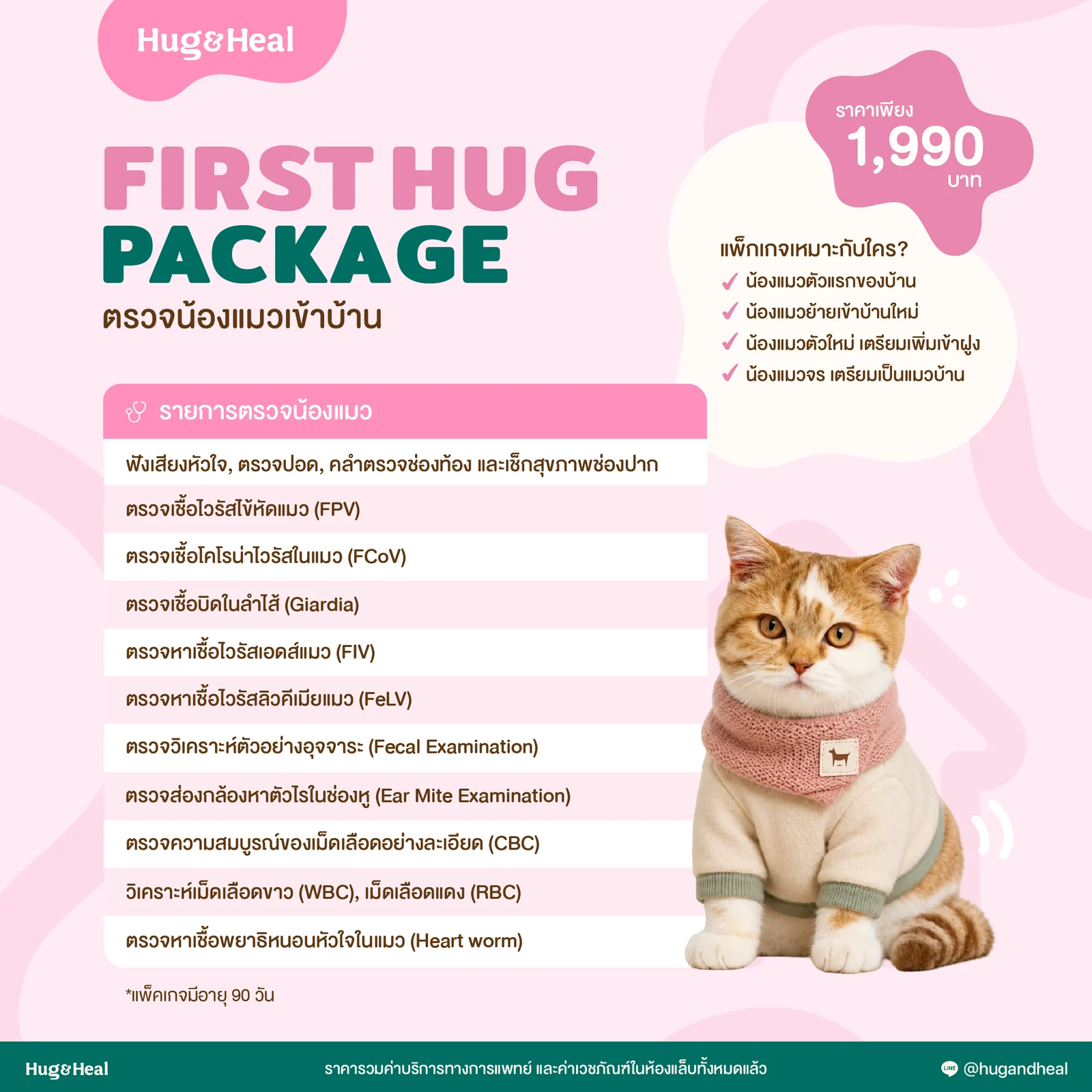รายการตรวจในแพ็กเกจ First Hug สำหรับน้องแมวใหม่เข้าบ้าน