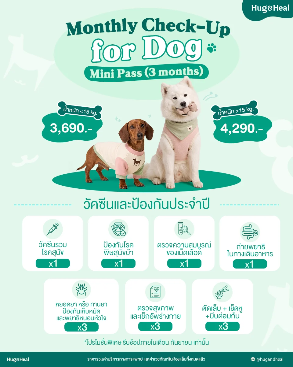Mini Pass 3 เดือน สำหรับน้องหมา ราคา 3,690 บาท และ 4,290 บาทตามน้ำหนัก