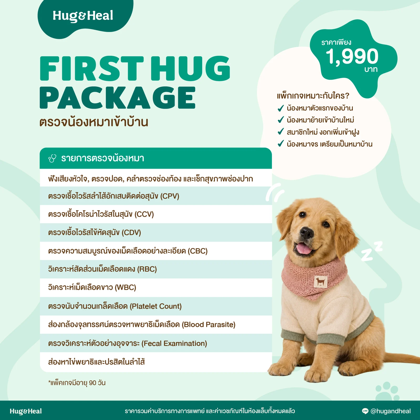 รายการตรวจในแพ็กเกจ First Hug สำหรับน้องหมาใหม่เข้าบ้าน
