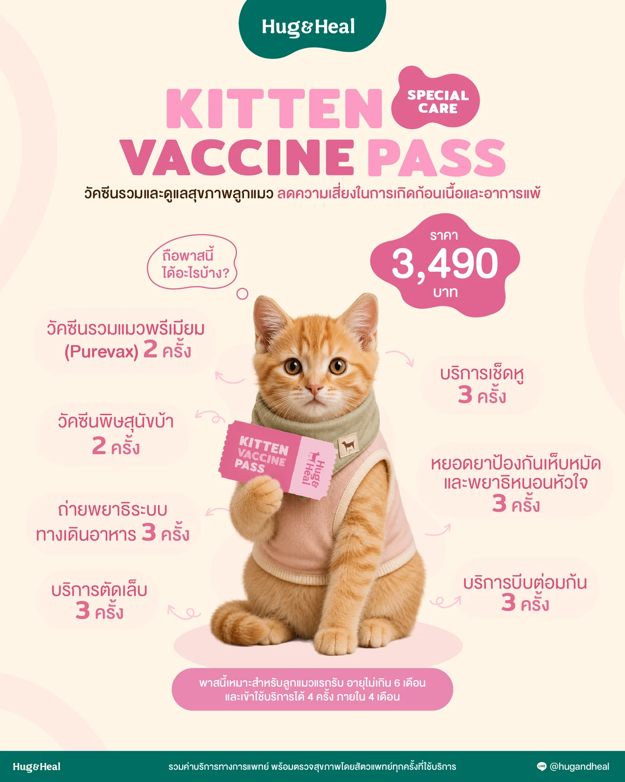 Kitten Vaccine Pass Special Care วัคซีนรวมชนิดพรีเมียม Purevax ราคา 3,490 บาท