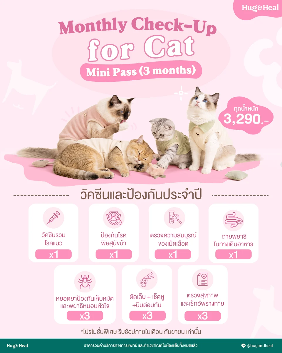 Mini Pass 3 เดือน สำหรับน้องแมว ราคา 3,290 บาท