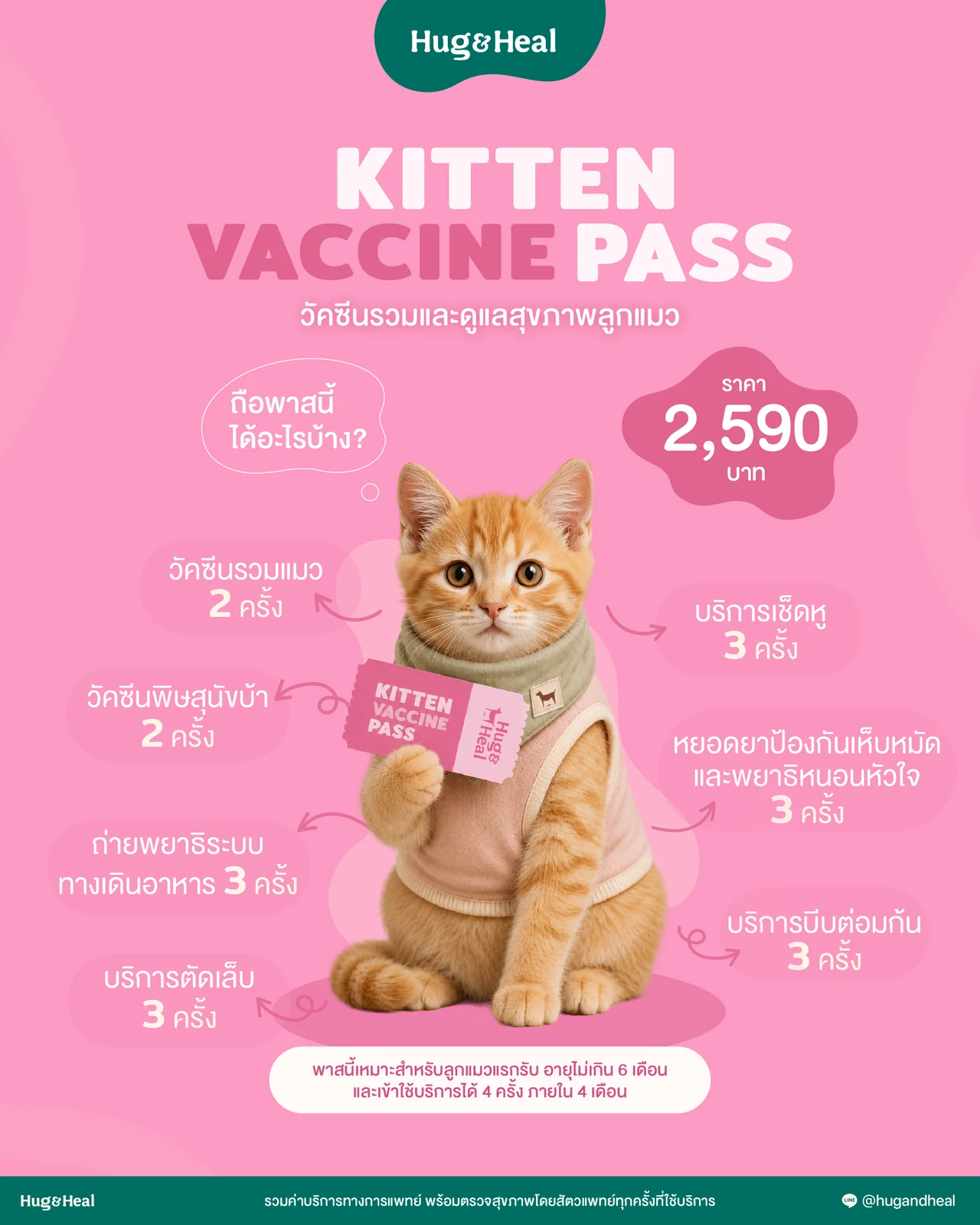 Kitten Vaccine Pass วัคซีนรวมและดูแลสุขภาพลูกแมว ราคา 2,590 บาท