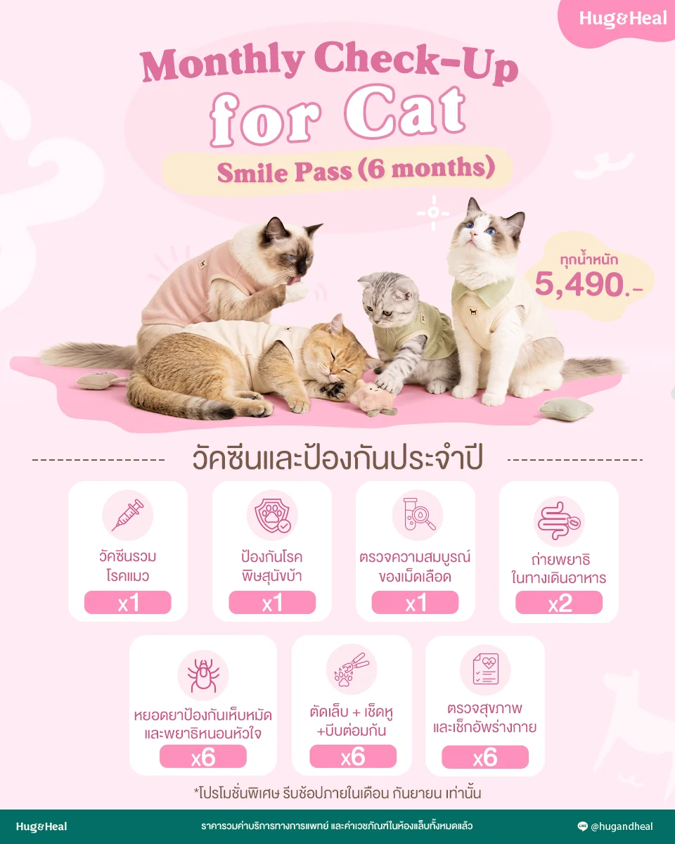 Smile Pass 6 เดือน สำหรับน้องแมว ราคา 5,490 บาท