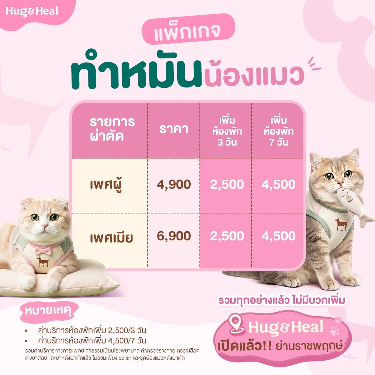 ตารางราคาแพ็กเกจทำหมันน้องแมว แยกตามเพศผู้และเพศเมีย